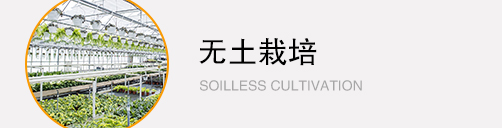無(wú)土栽培工程 無(wú)土栽培工程