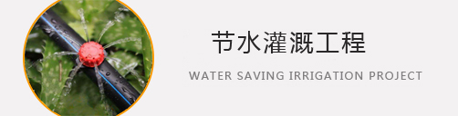 節(jié)水灌溉工程 節(jié)水灌溉工程